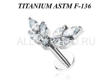 Лабрет из титана Ti Metal альтаир