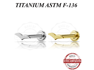 Лабрет из титана Steel and Silver чайка